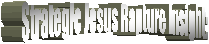 Strategic Jesus Rapture Insight: